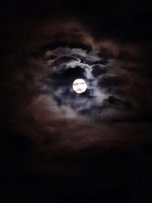 云遮住了月亮把月亮当成人来写怎么写,云把月亮遮住了是以什么为参照物