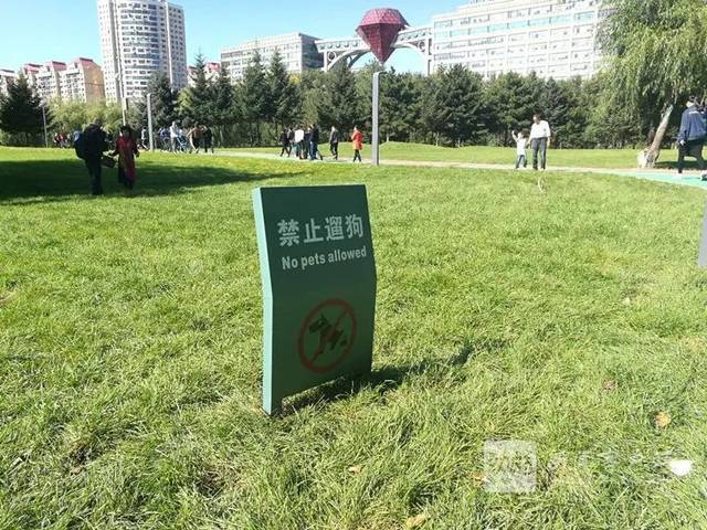 公园里严禁踩踏草坪的广告语有哪些内容和意义,公园里禁止践踏草地的提示语