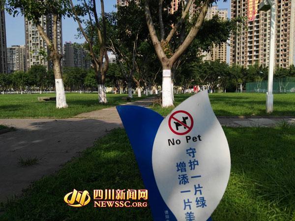 关于公园草坪禁止入内的标语
